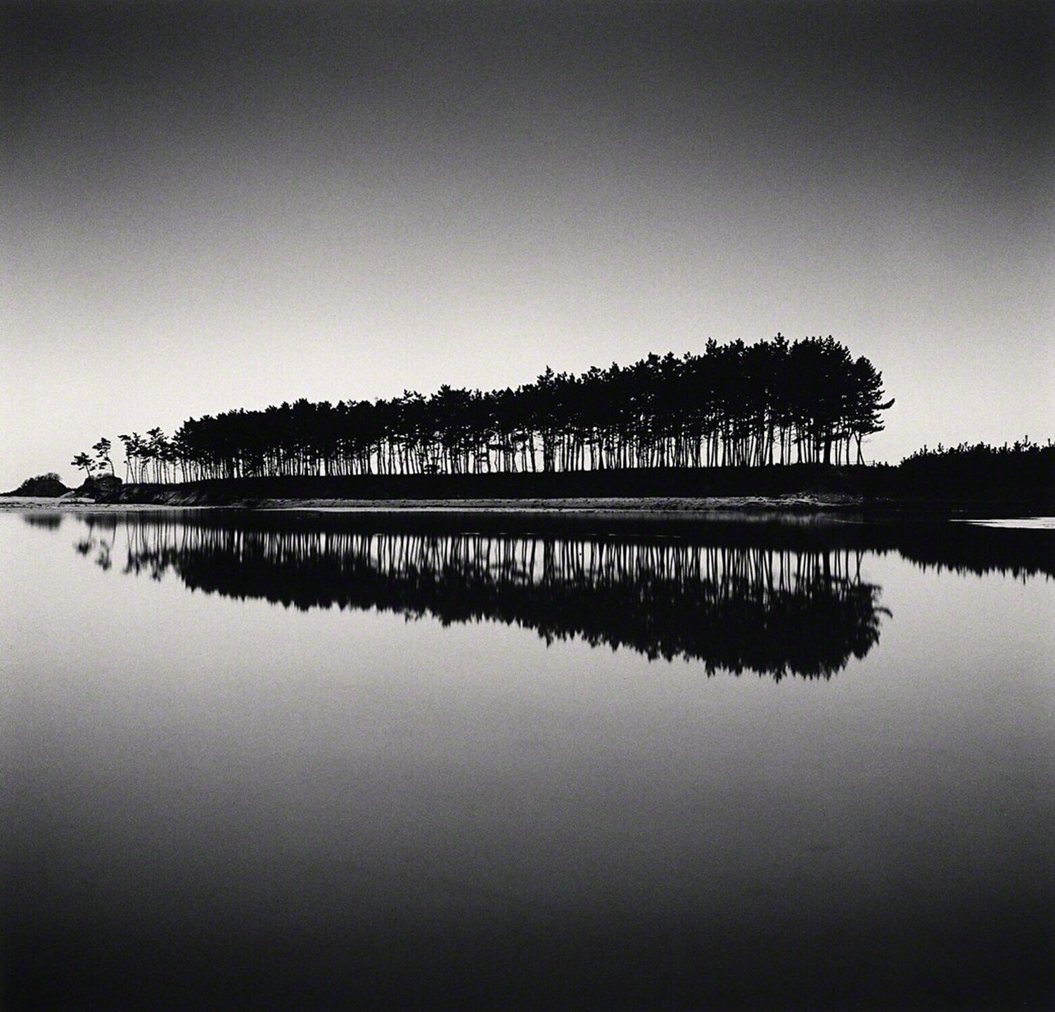 Pine Trees, Study 5, Unyeo Beach, Chungcheongnam-do, South Korea Michael Kenna Fotografie zu verkaufen
