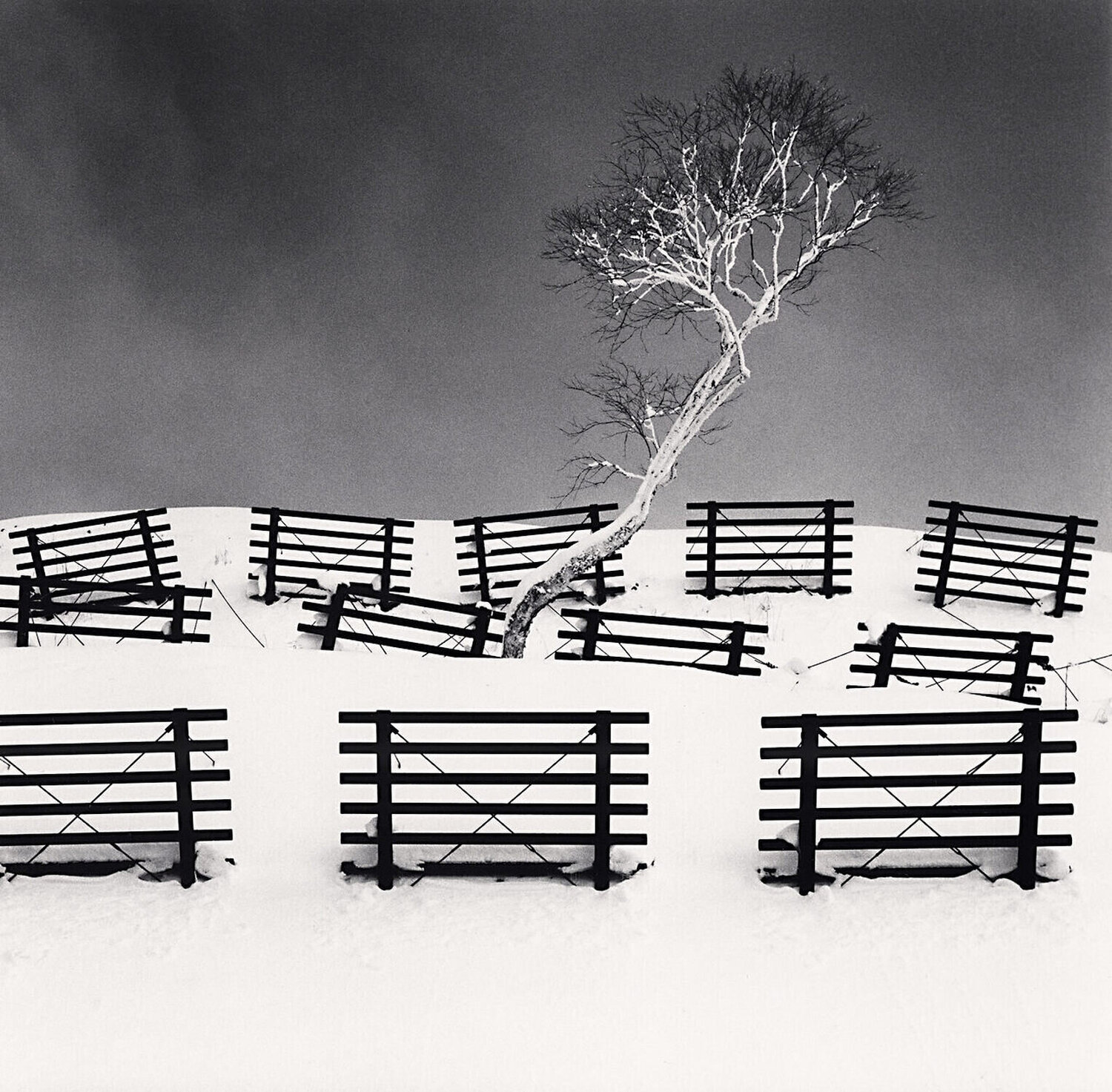 Dakekanba and Snow Barriers, Hokkaido, Japan Michael Kenna Fotografia in vendita