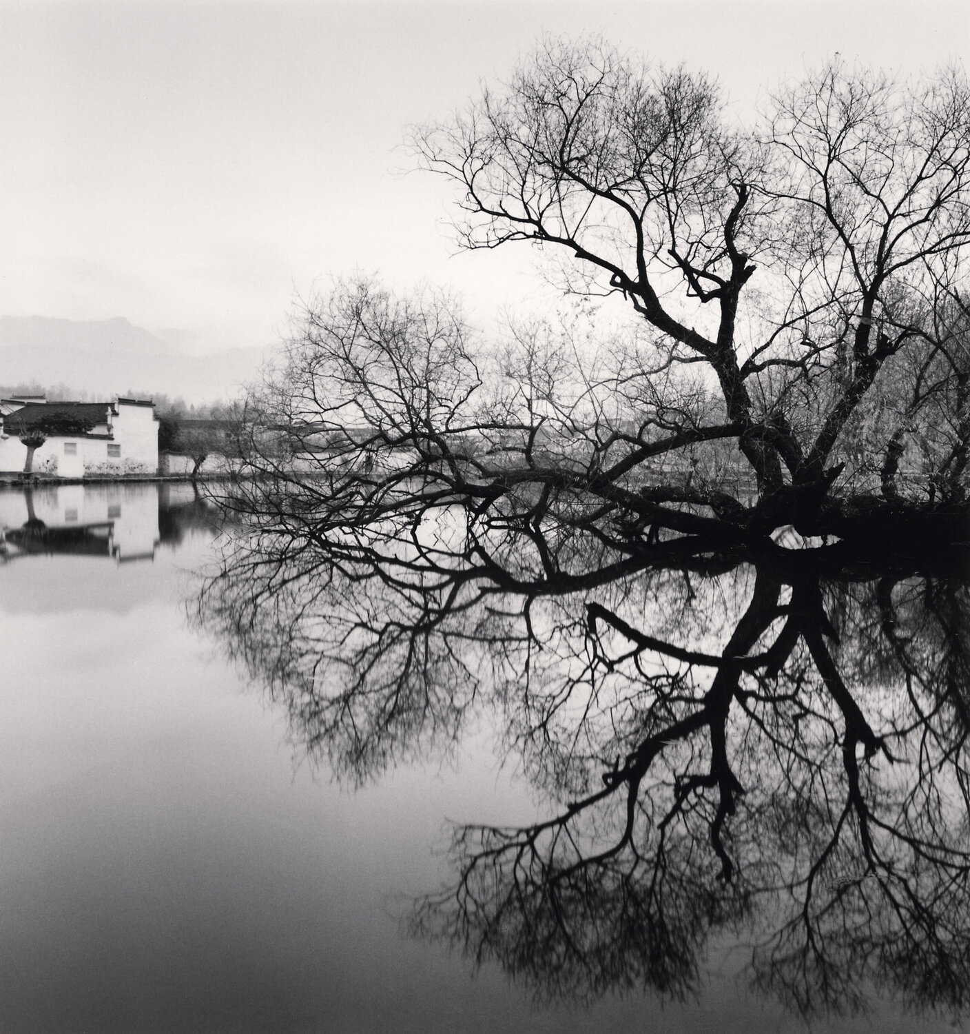 Reflected Tree, Hongkun, Anhui, China Michael Kenna