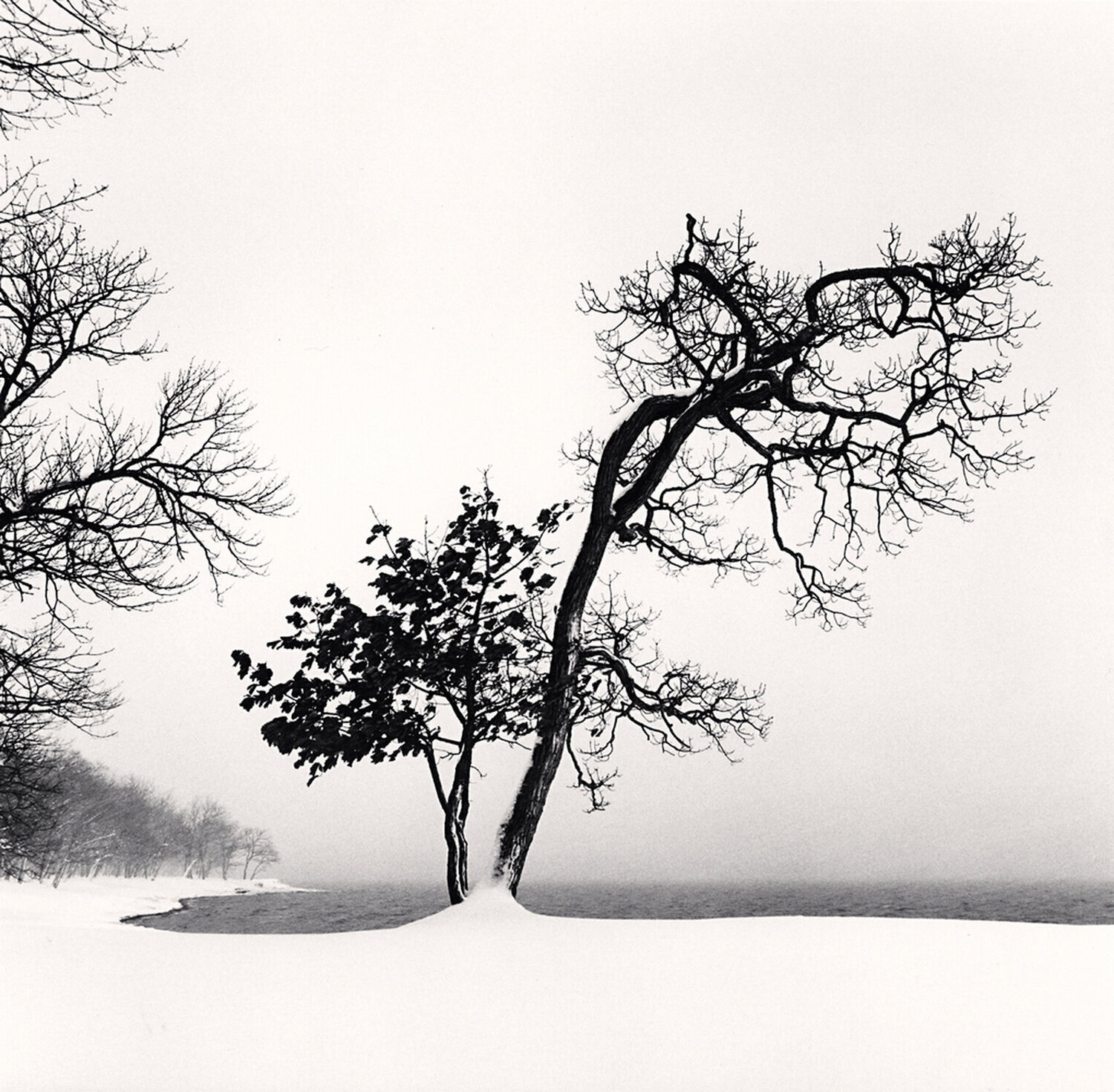 Chilly Weather, Study 2, Hokkaido, Japan Michael Kenna
