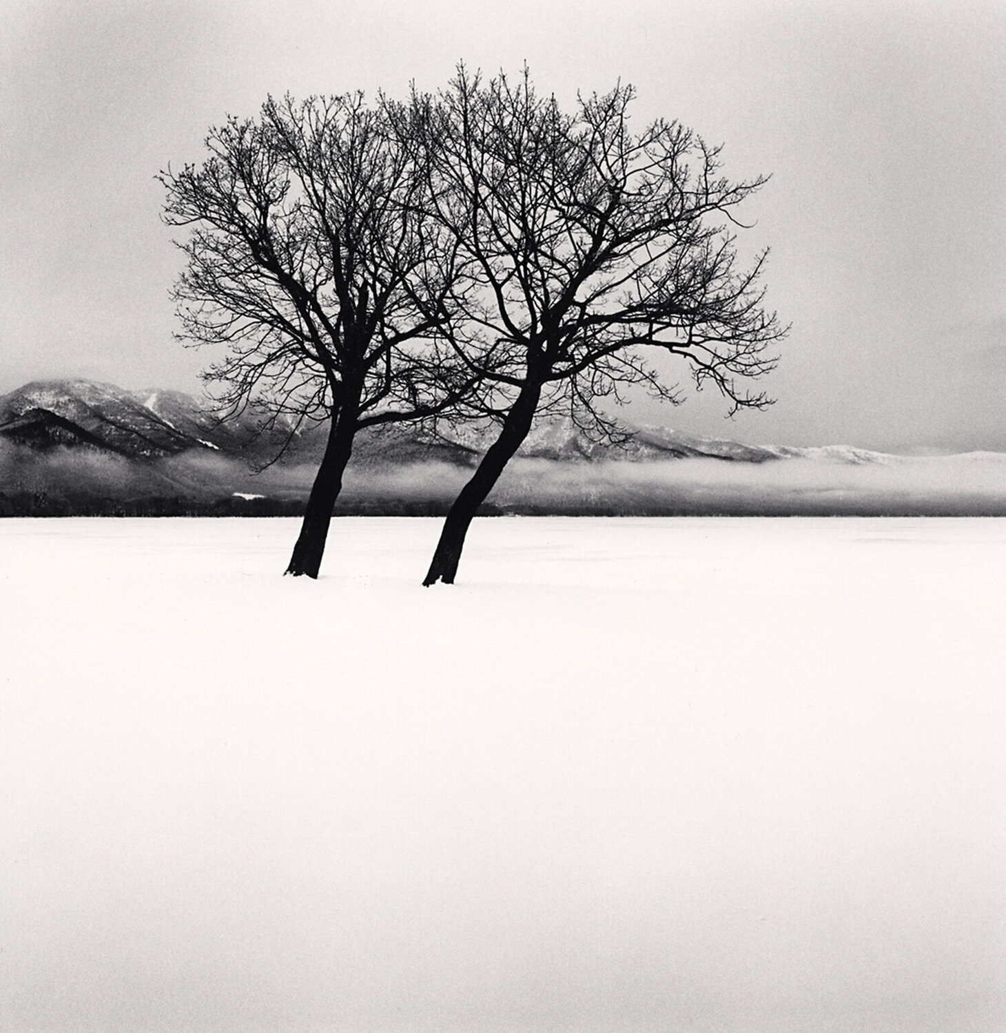 Dancing Trees, Kussharo Lake, Hokkaido, Japan Michael Kenna Fotografia in vendita