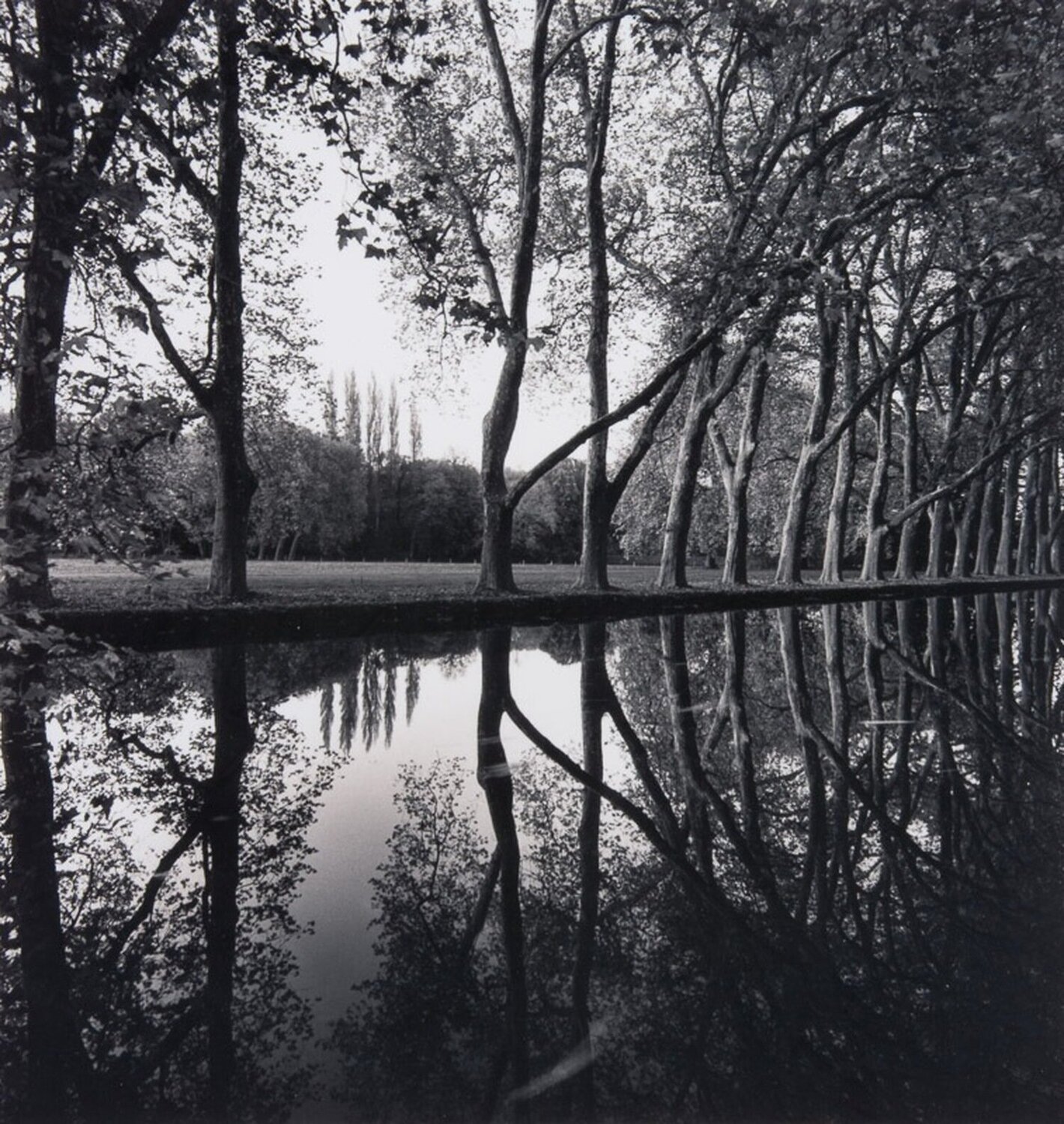 Allee d’Honneur, Courances, France Michael Kenna Fotografie zu verkaufen