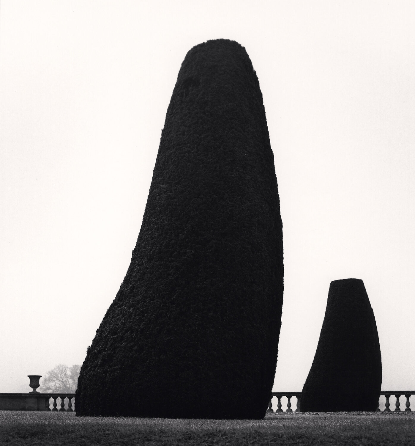 Bowood Gardens, Study 2, Wiltshire, England Michael Kenna