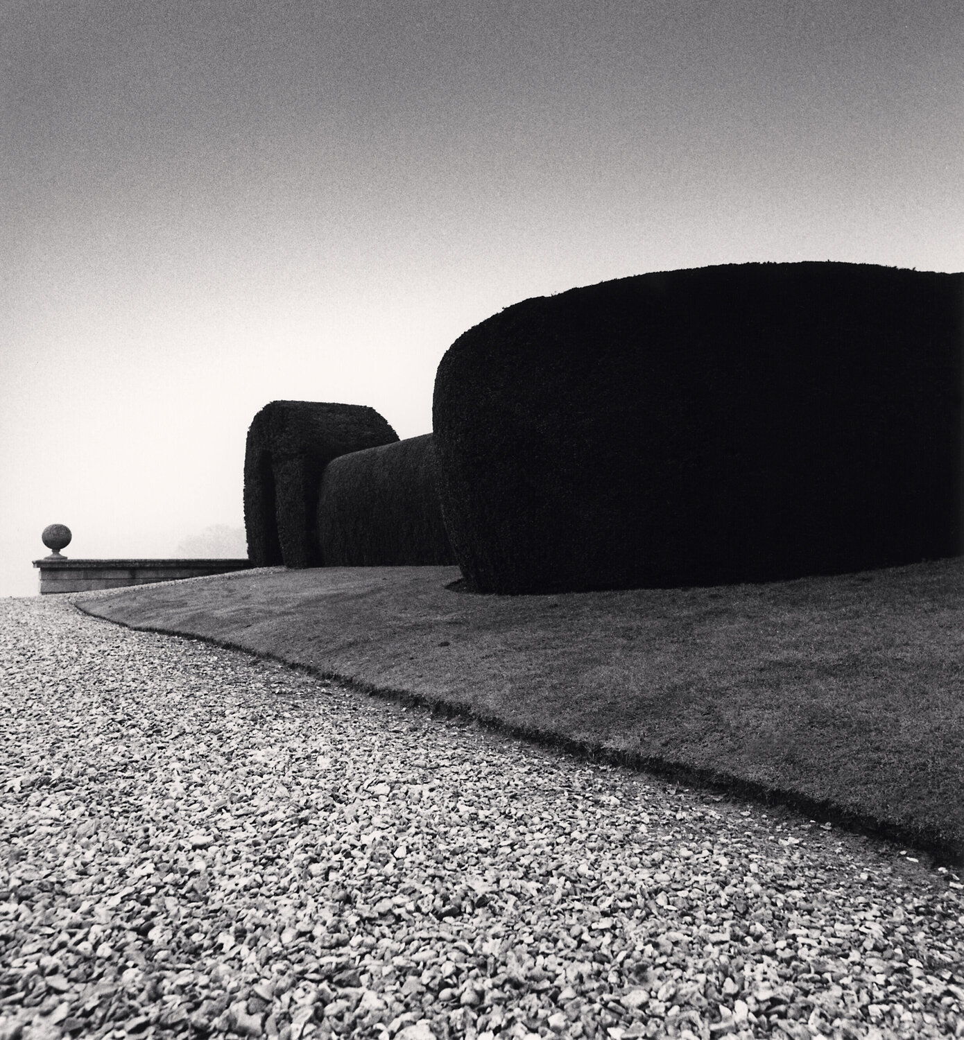 Bowood Gardens, Study 3, Wiltshire, England Michael Kenna