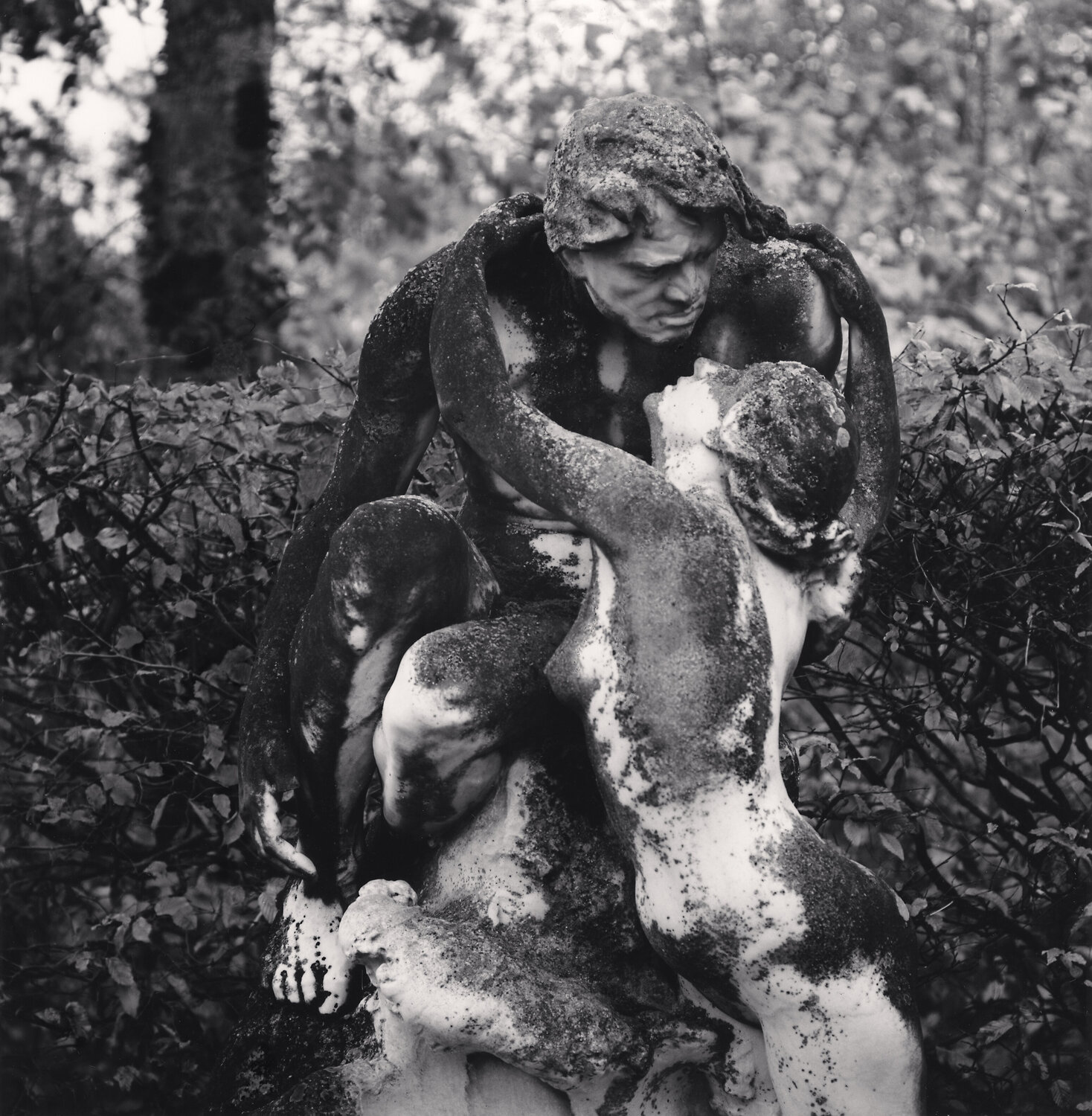 Bosquet Statuary, Vaux le Vicomte, Maincy, France Michael Kenna Fotografie zu verkaufen