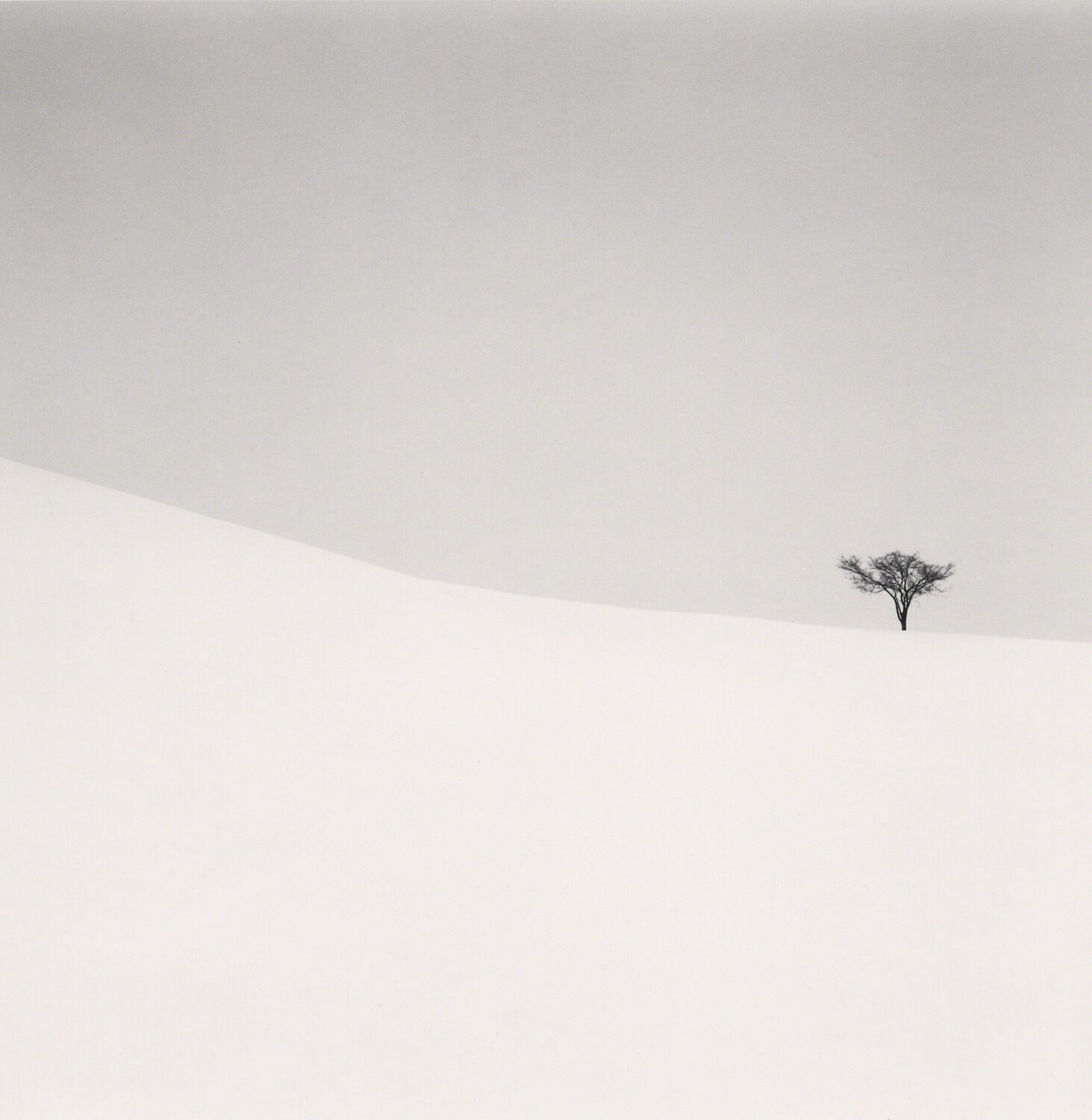 Single Tree, Mita, Hokkaido, Japan Michael Kenna