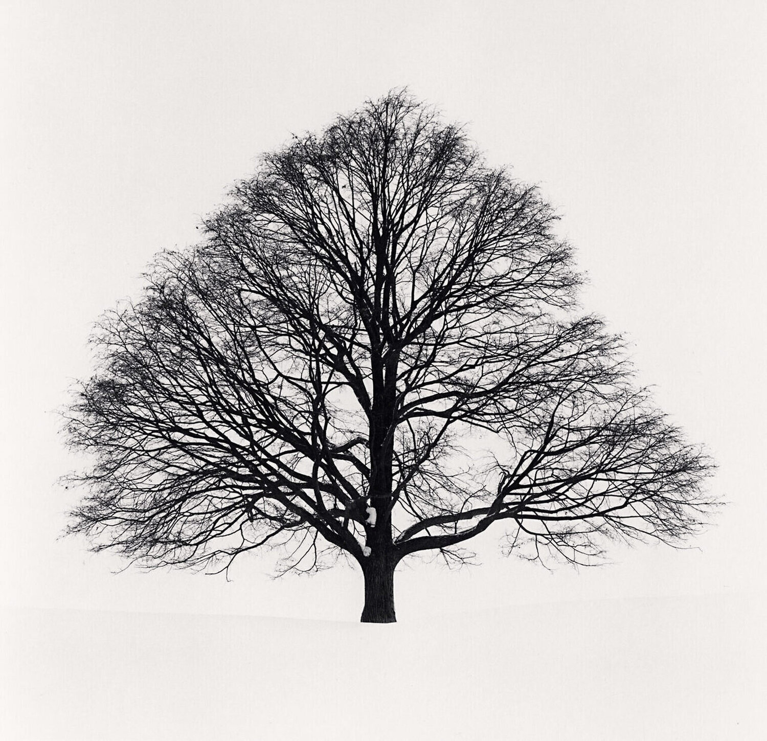 Cikisani Kamuy Study 1, Sorachi Hokkaido, Japan Michael Kenna Fotografie zu verkaufen