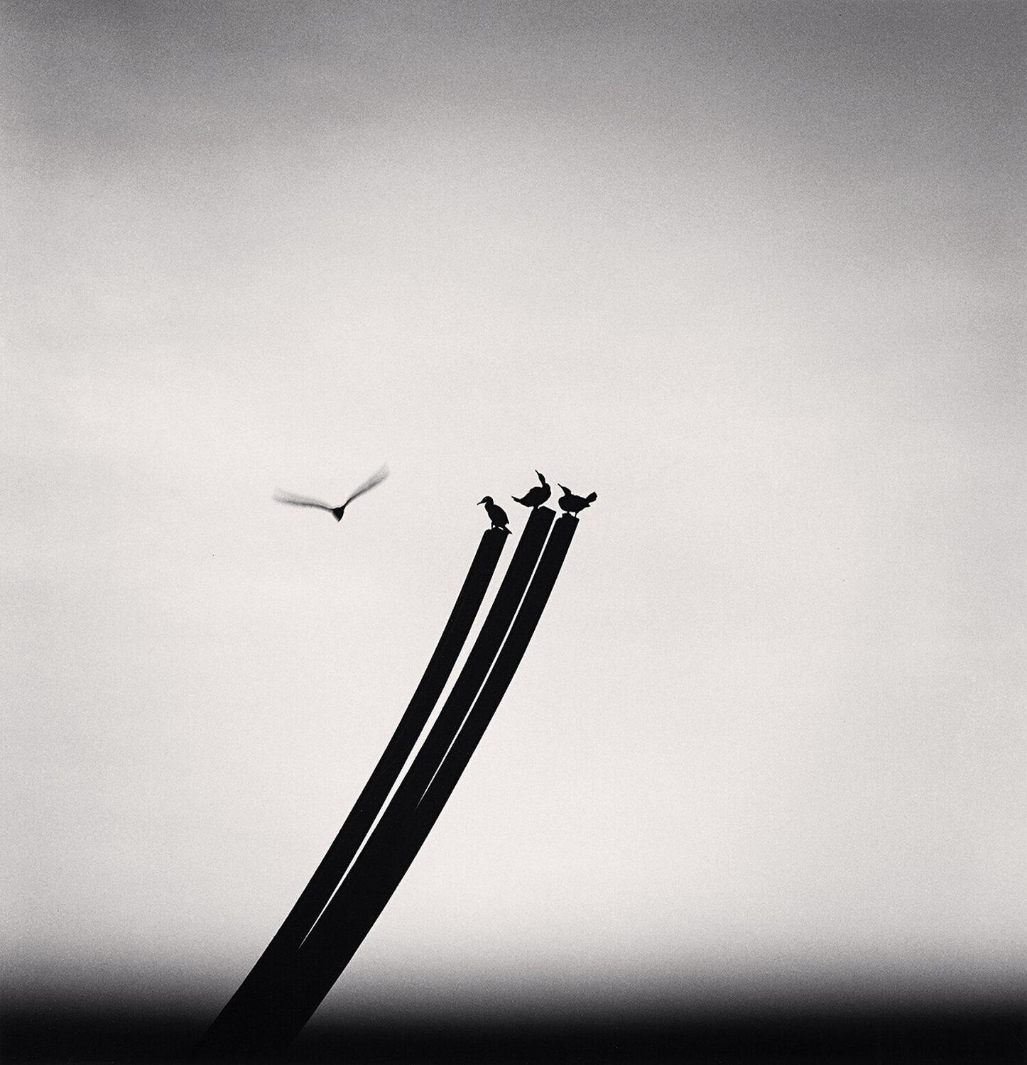 Four Birds, St. Nazaire, France Michael Kenna Fotografie zu verkaufen