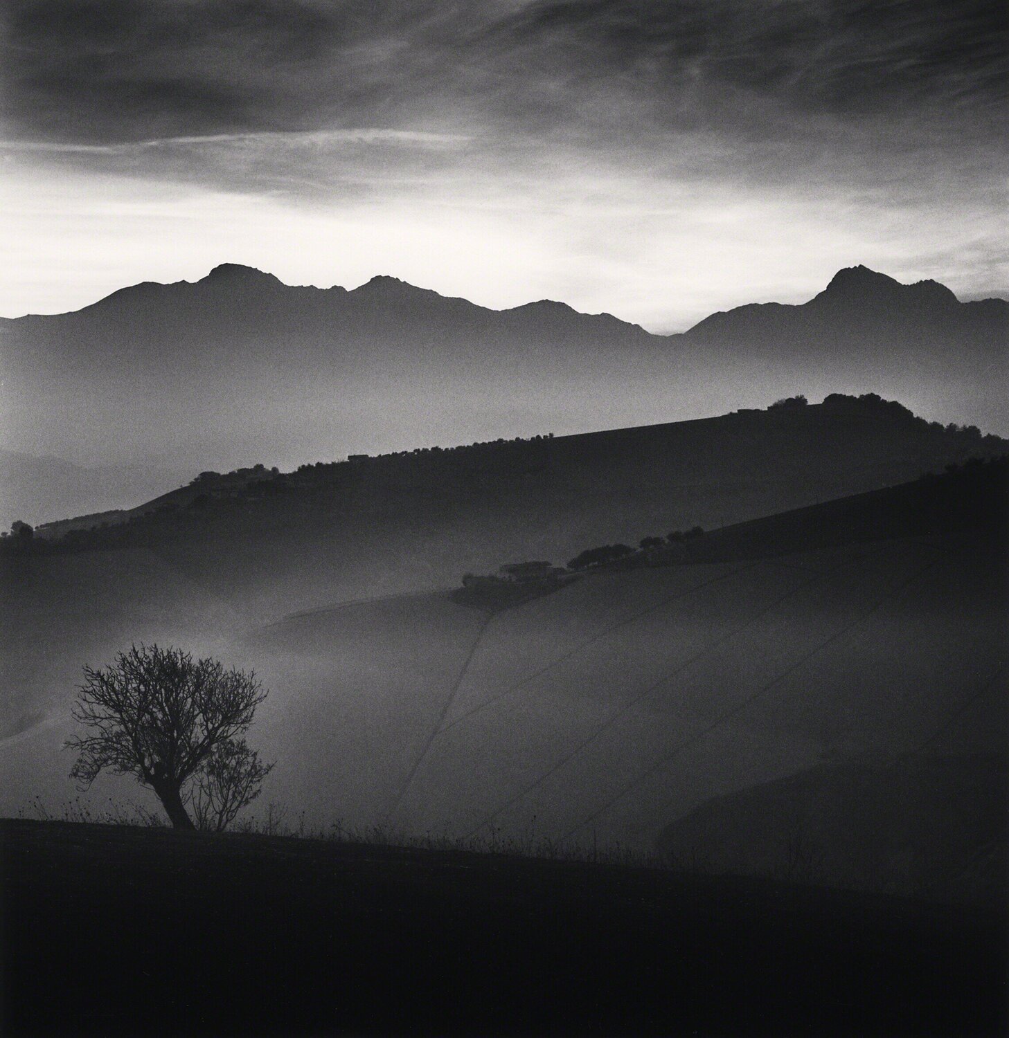 Tree and Gran Sasso Mountain, Castilenti, Abruzzo, Italy Michael Kenna Fotografie zu verkaufen