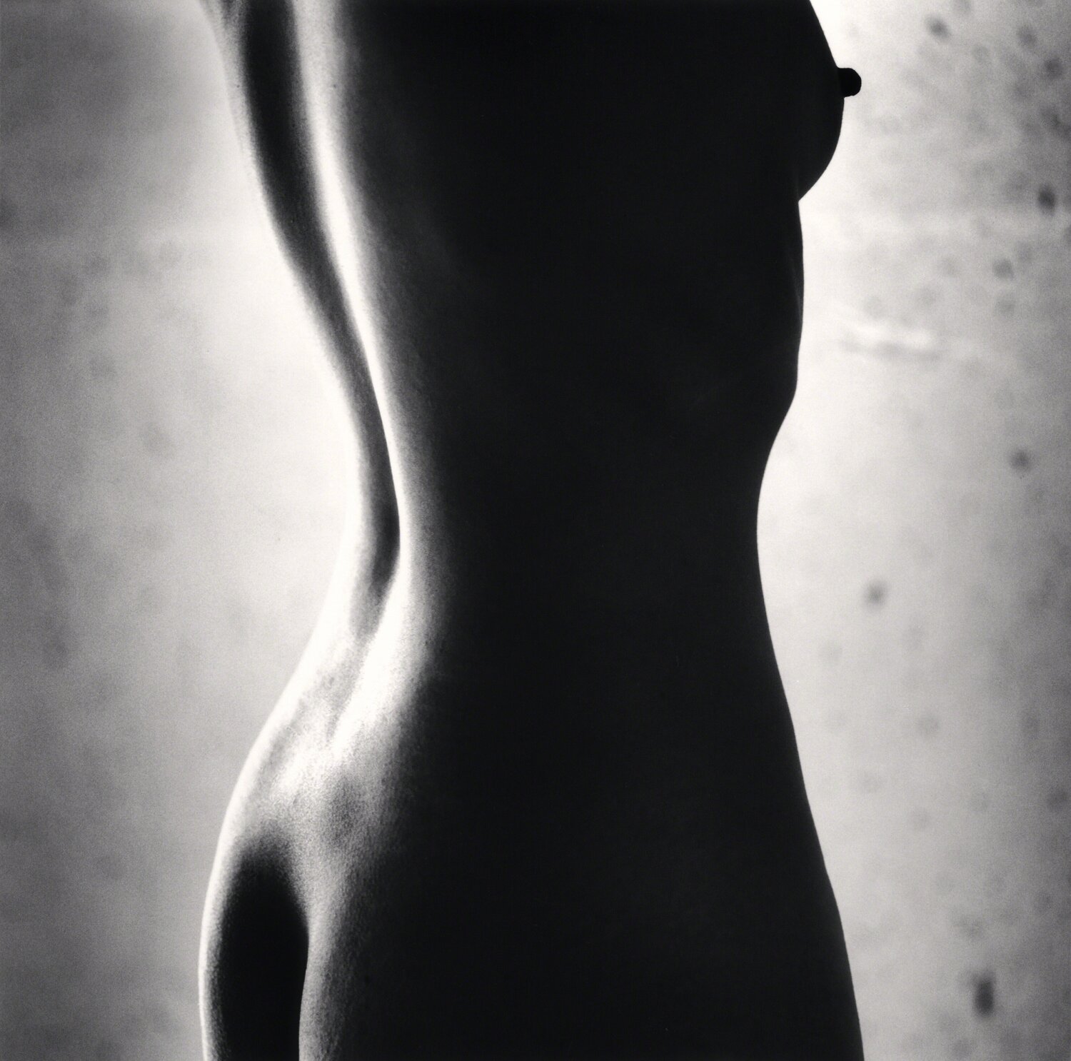 Yayoi, Study 1 Michael Kenna
