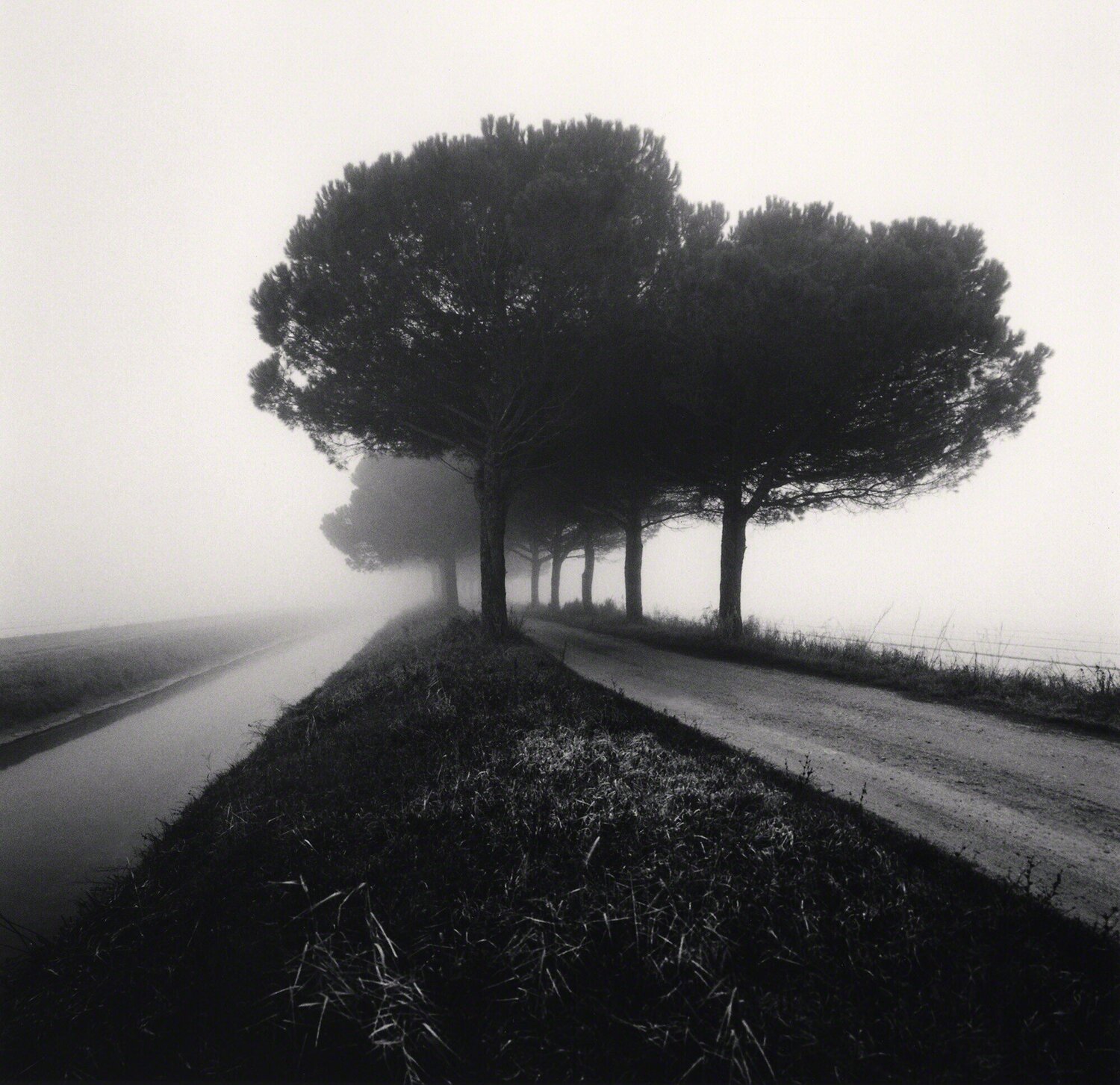 Canal and Trees, Goro Ferrara, Veneto, Italy Michael Kenna Fotografie zu verkaufen