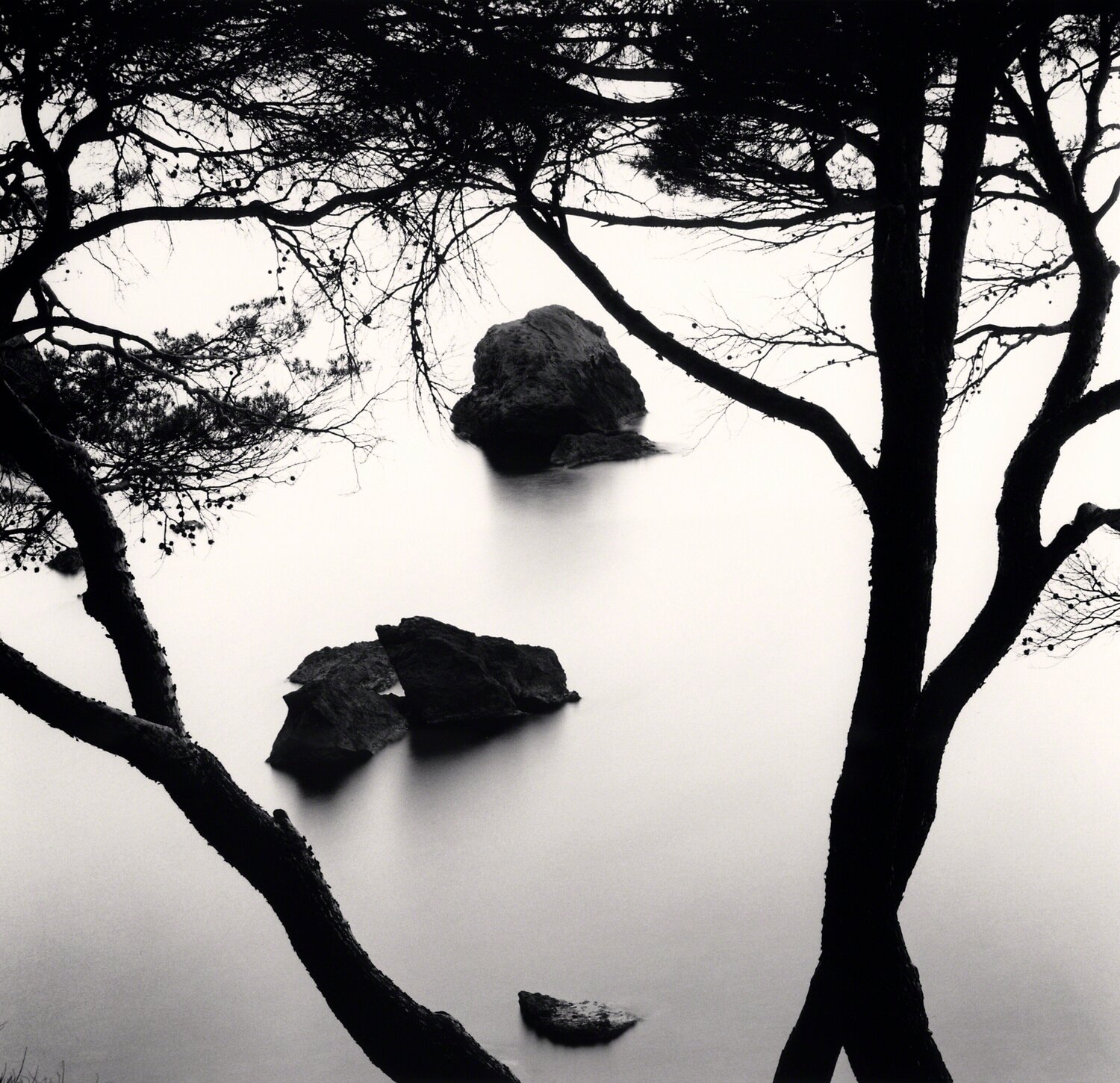 Catany's Trees, Llucalcari, Mallorca Michael Kenna