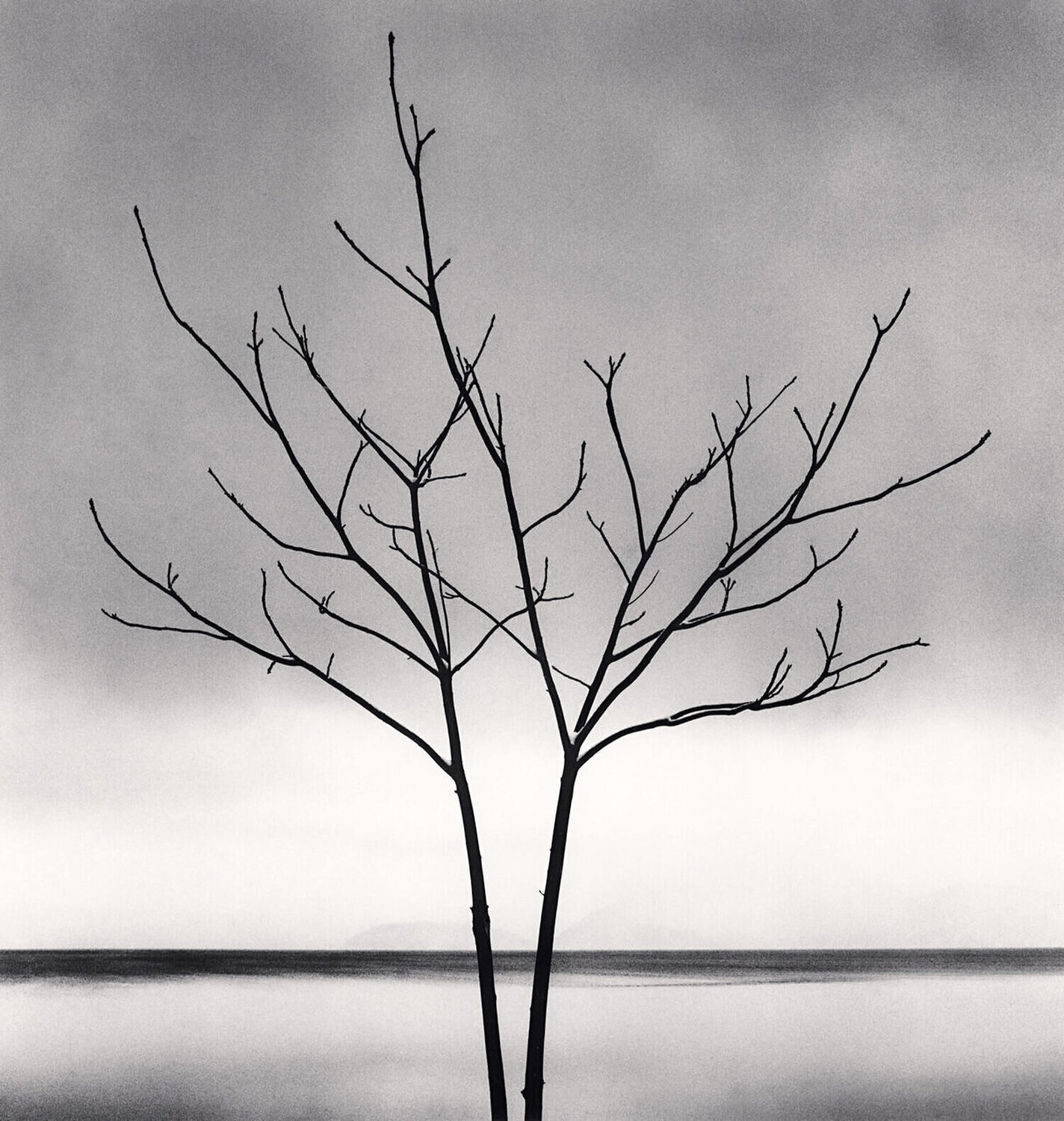 Bare Tree Toya Lake,  Hokkaido, Japan Michael Kenna