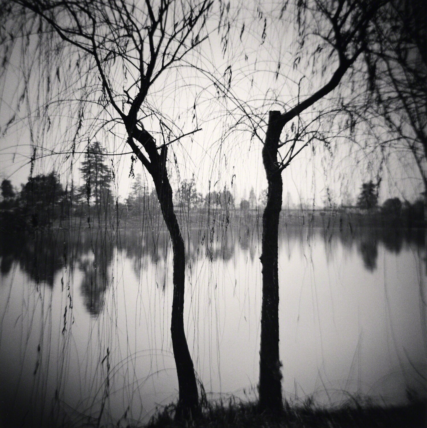 Afternoon Trees, Shexian, Anhui, China Michael Kenna