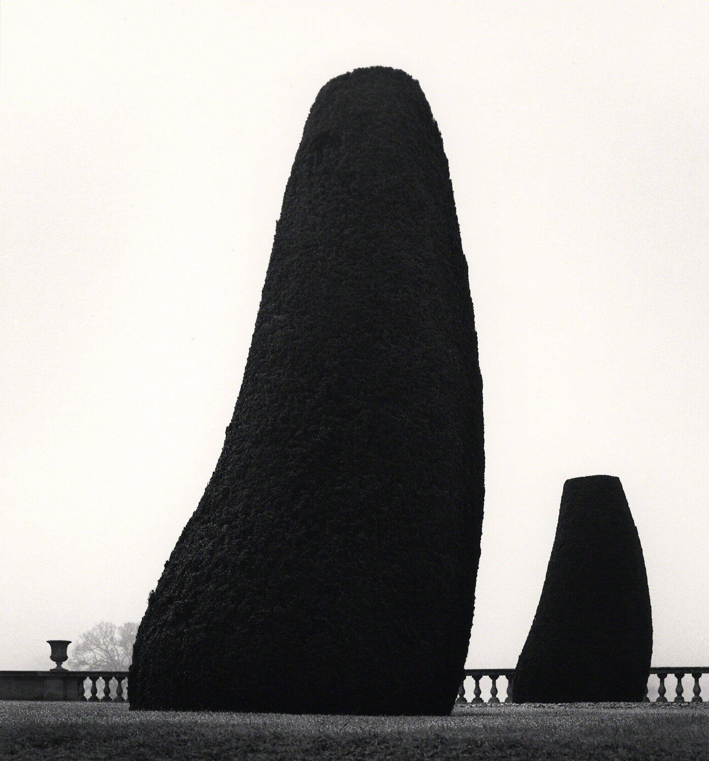 Bowood Gardens, Study 2, Wiltshire, England Michael Kenna
