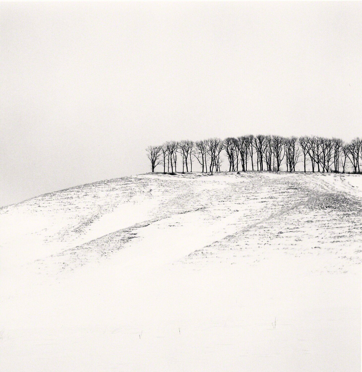 Hilltop Trees, Study 4, Teshikaga, Hokkaido, Japan Michael Kenna