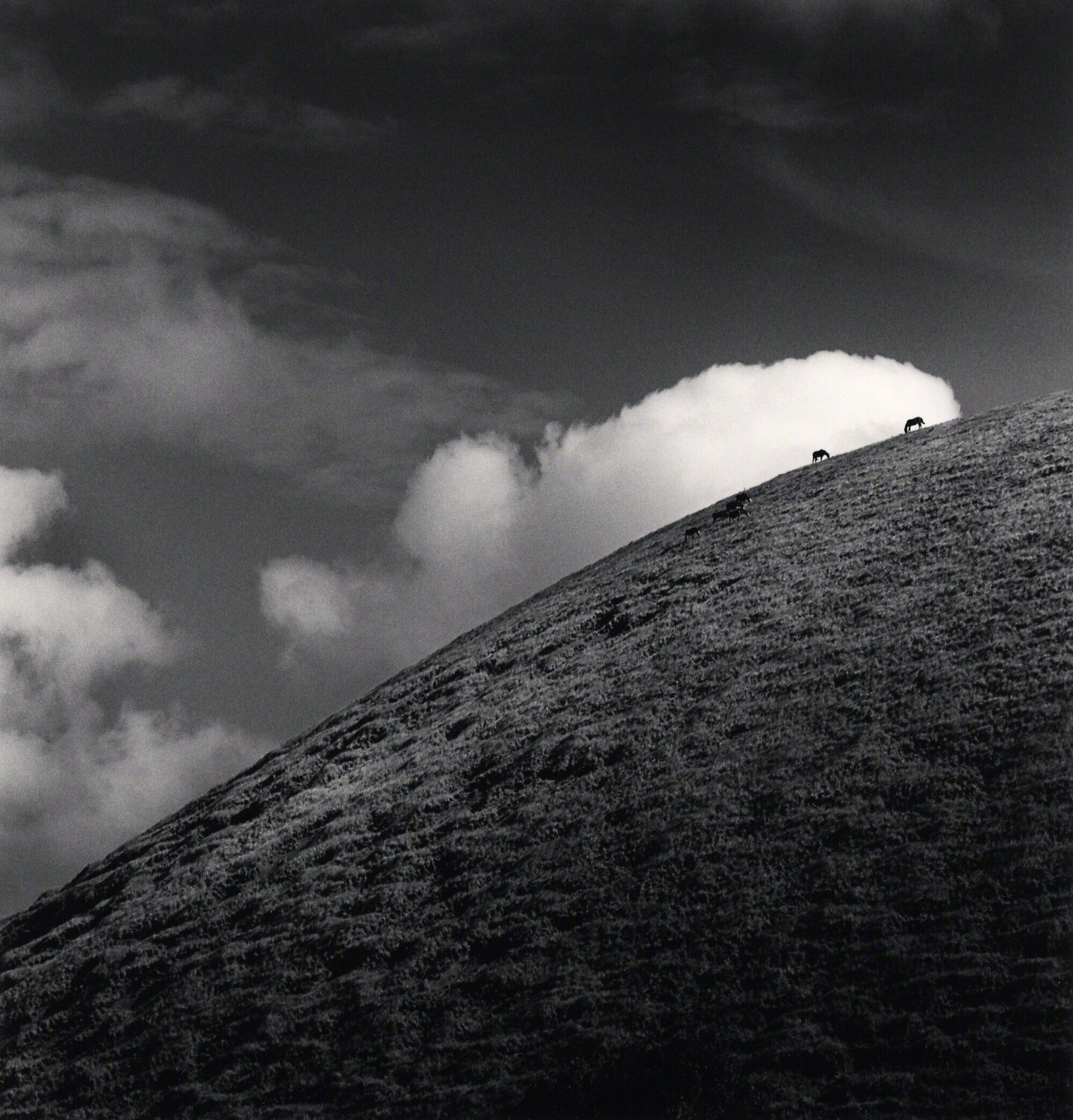 Seven Horses, Iti Maunga, Easter Island Michael Kenna