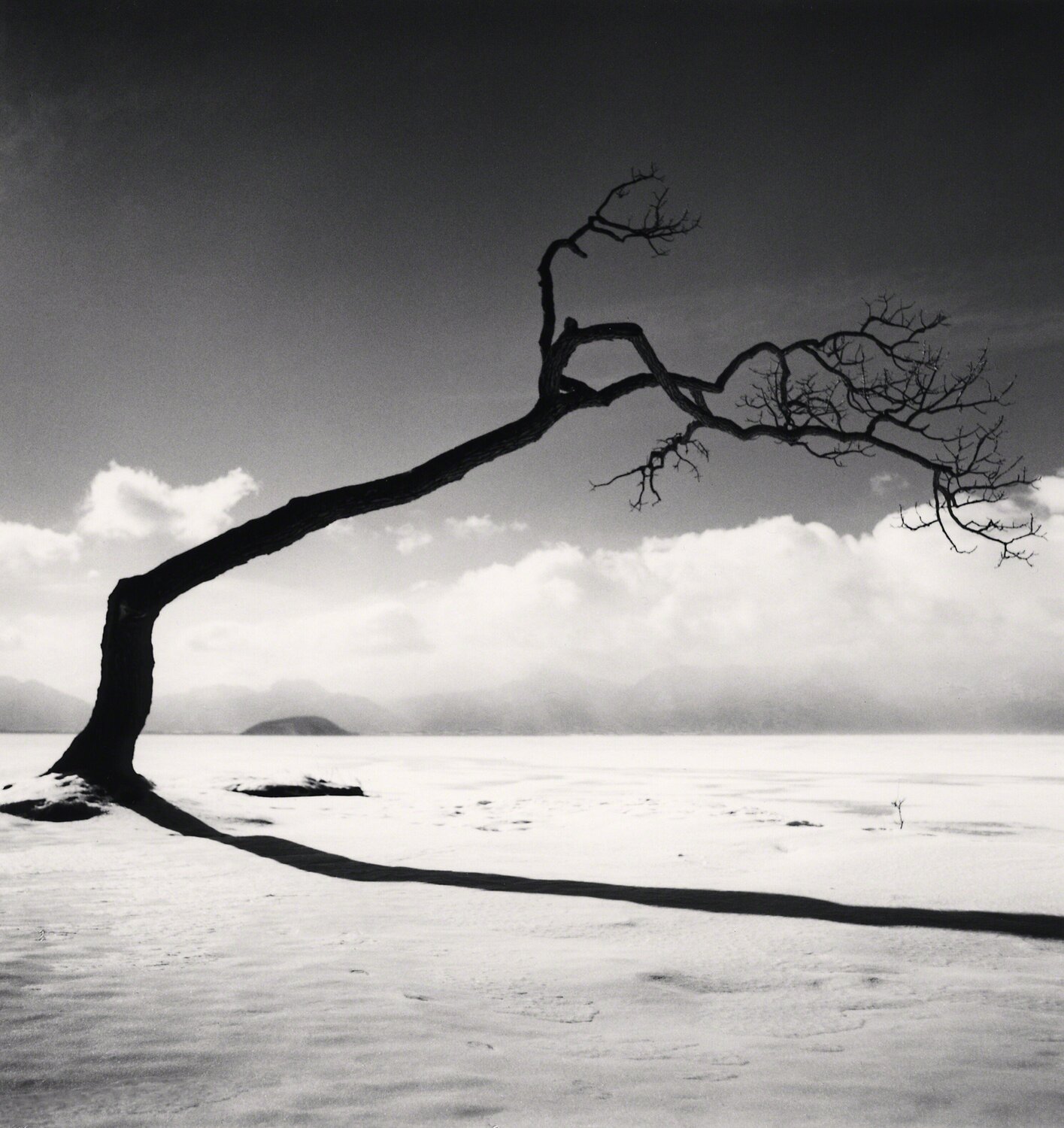 Kussharo Lake Tree, Study 10, Kotan, Hokkaido Michael Kenna