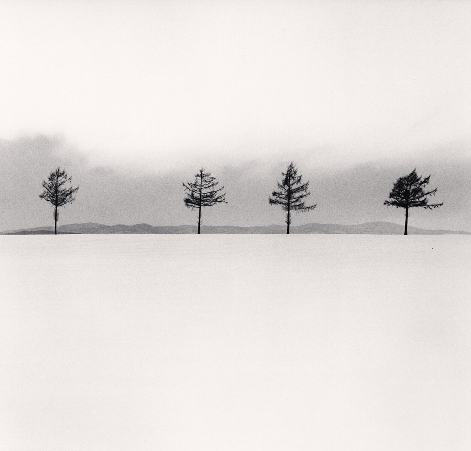 Kurosawa's Trees, Study 3, Memanbetsu, Hokkaido, Japan Michael Kenna