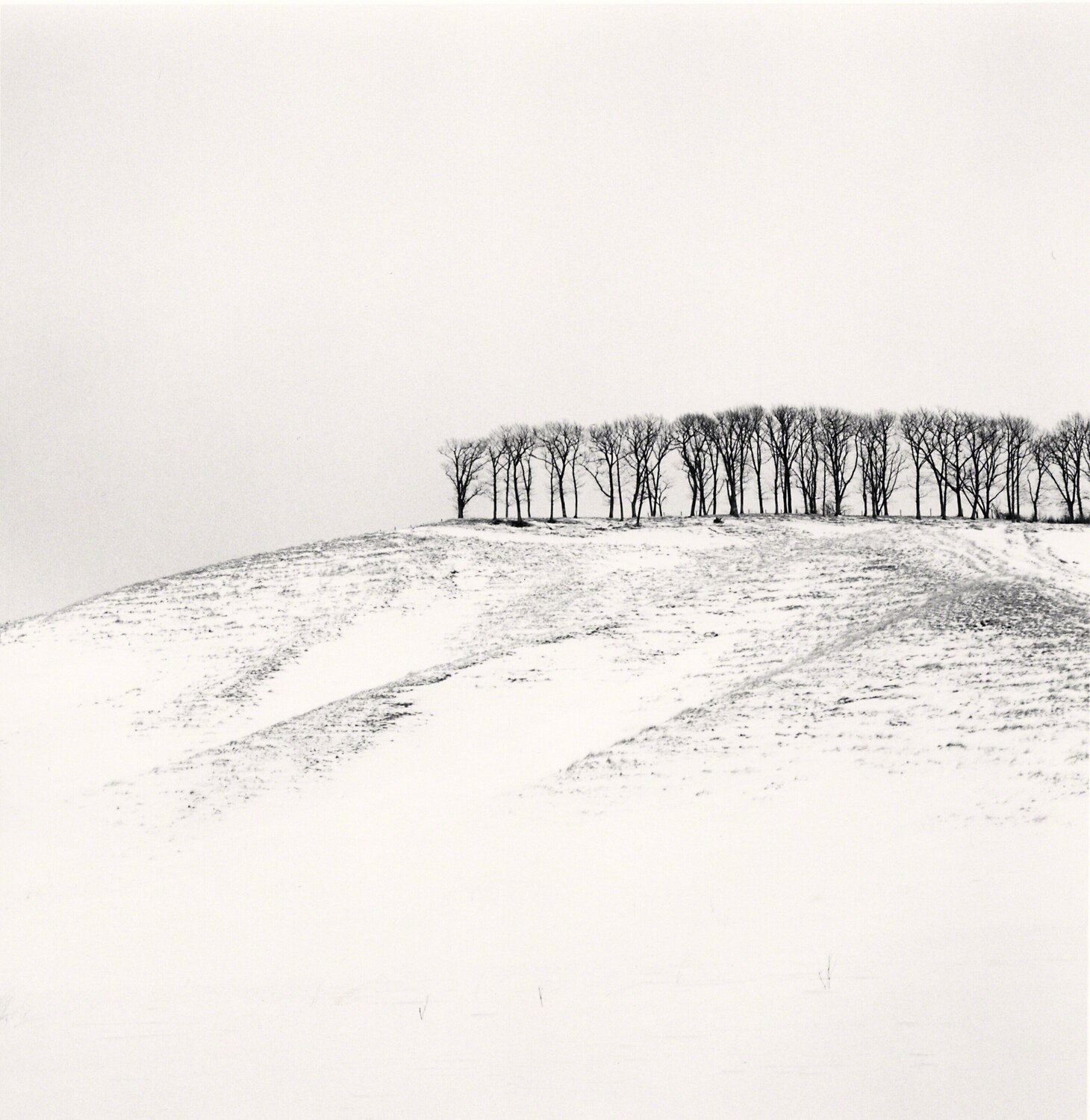 Hilltop Trees, Study 4, Teshikaga, Hokkaido Michael Kenna