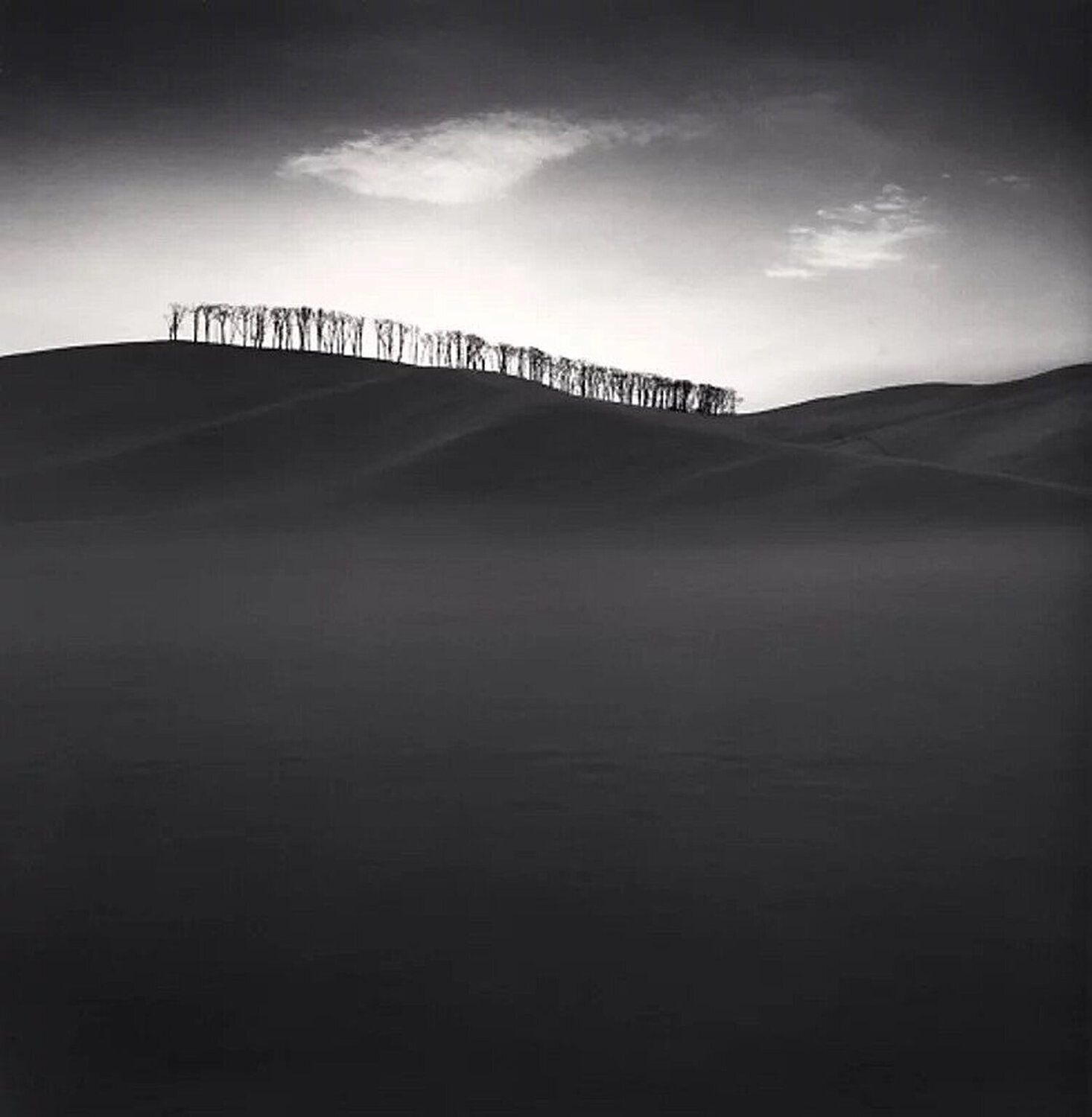 Hilltop Trees, Study 2, Teshikaga, Hokkaido, Japan Michael Kenna