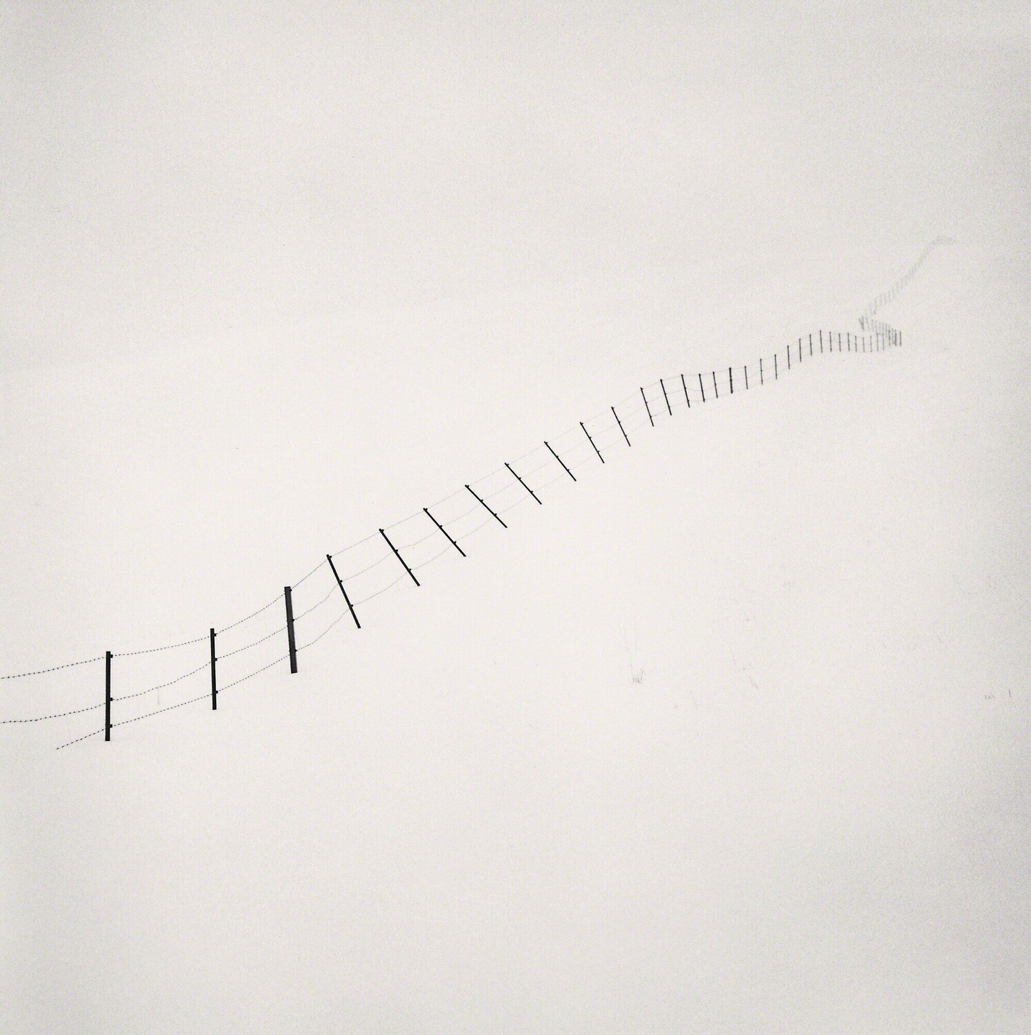 Hillside Fence, Study 4, Teshikaga, Hokkaido, Japan Michael Kenna Fotografia in vendita