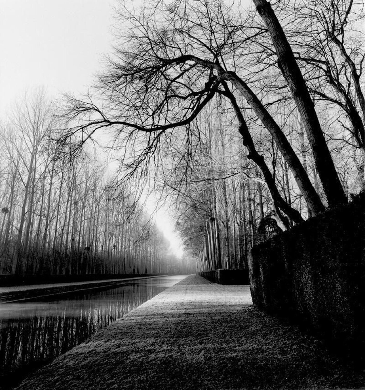 Light on Water, Courances, France Michael Kenna