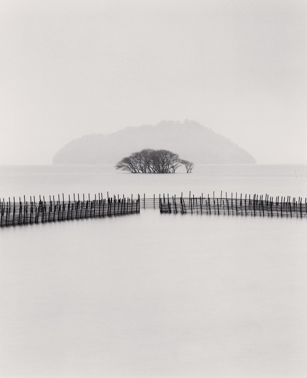 Submerged Trees, Kohoku, Honshu, Japan. Michael Kenna