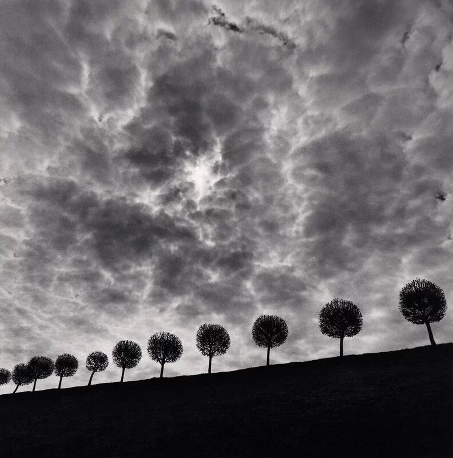 Ten and a Half Trees, Peterhof, Russia Michael Kenna