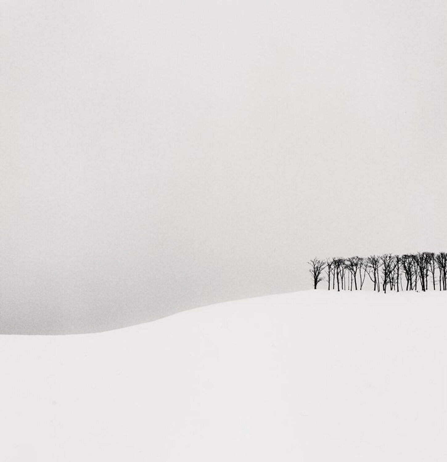 Hilltop Trees, Teshikaga, Hokkaido, Japan Michael Kenna Fotografia in vendita