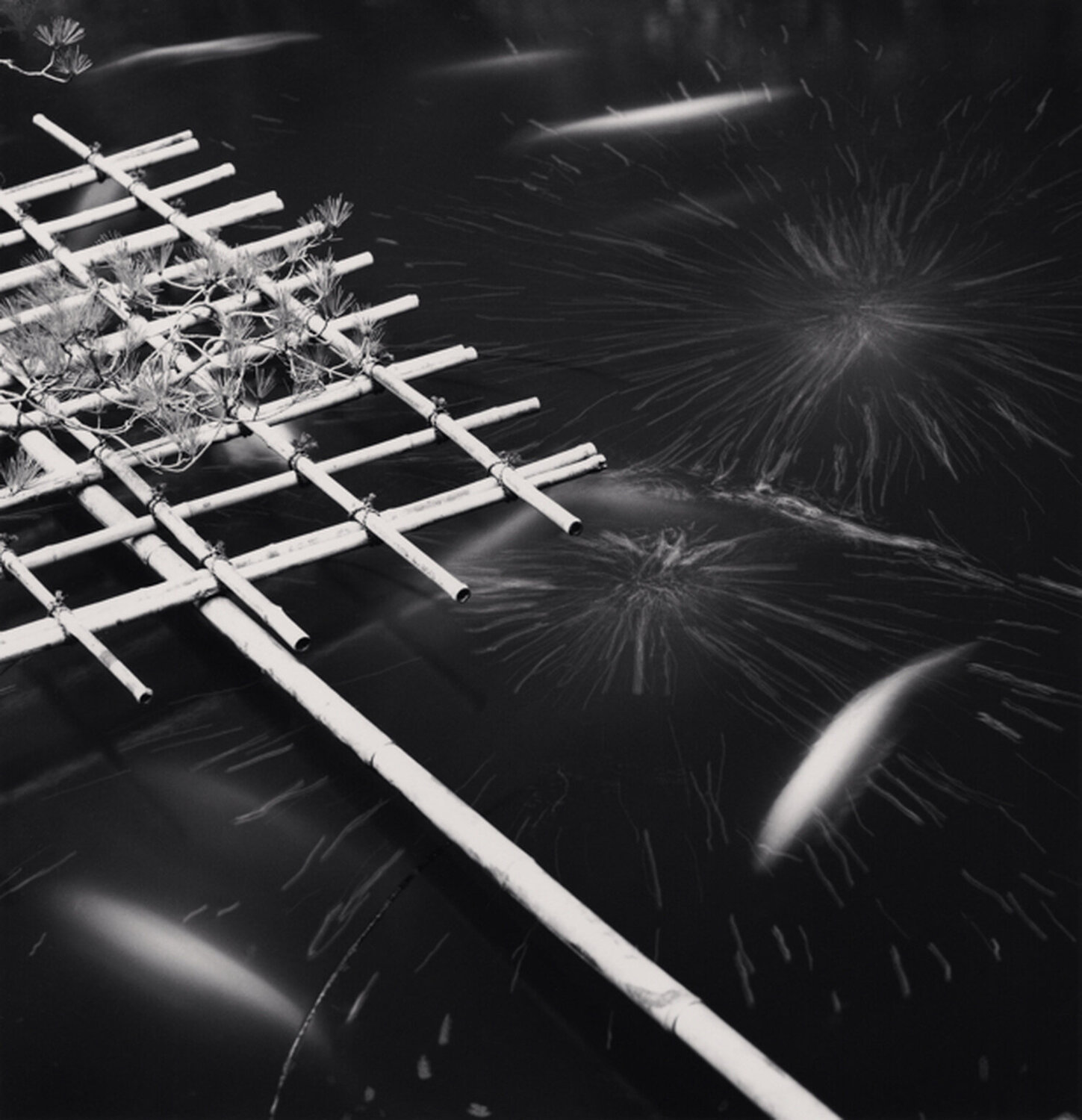 Temple Pond, Sanboh-in, Koyasan, Japan Michael Kenna Fotografie zu verkaufen