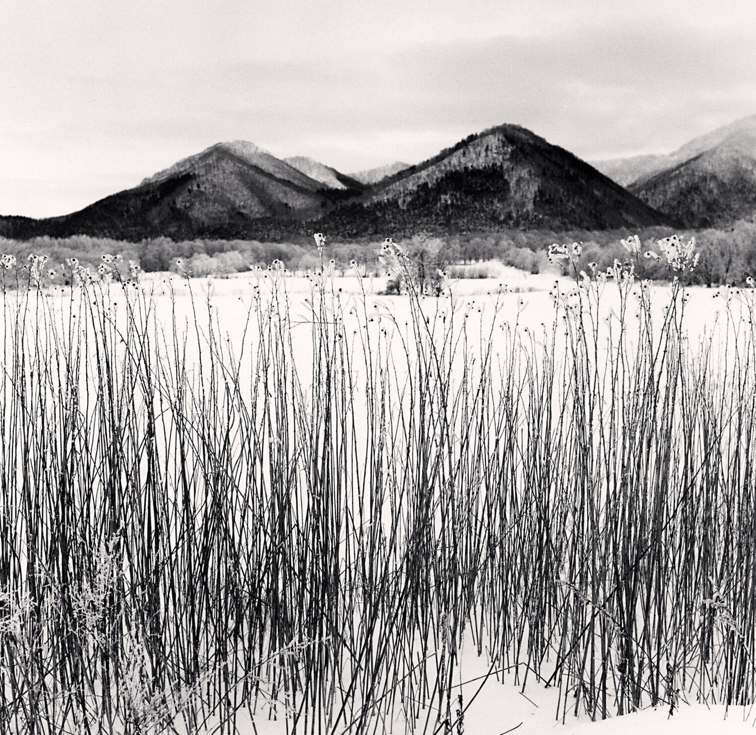 Frozen Itadori, Hokkaido, Japan Michael Kenna Fotografie zu verkaufen