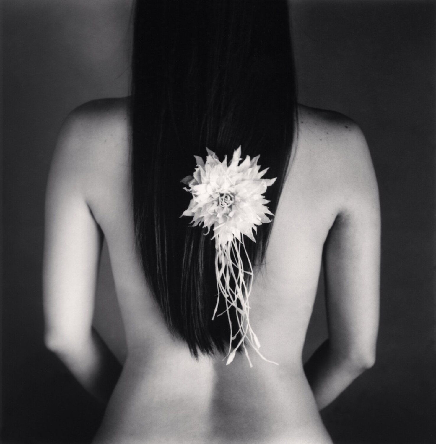 Mina, Study 7, Japan Michael Kenna