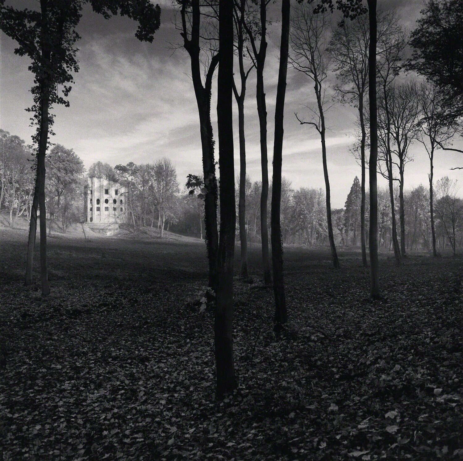 Le Desert de Retz, Study 8, France Michael Kenna