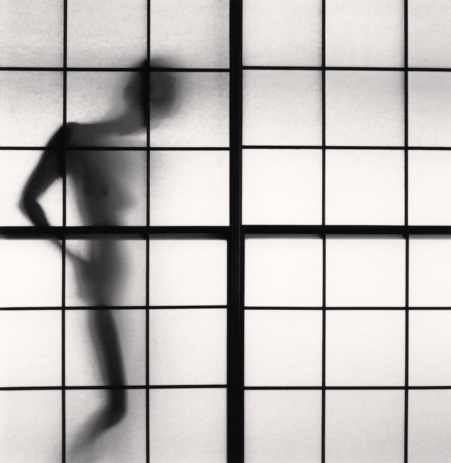 Namiko, Study 2, Japan Michael Kenna