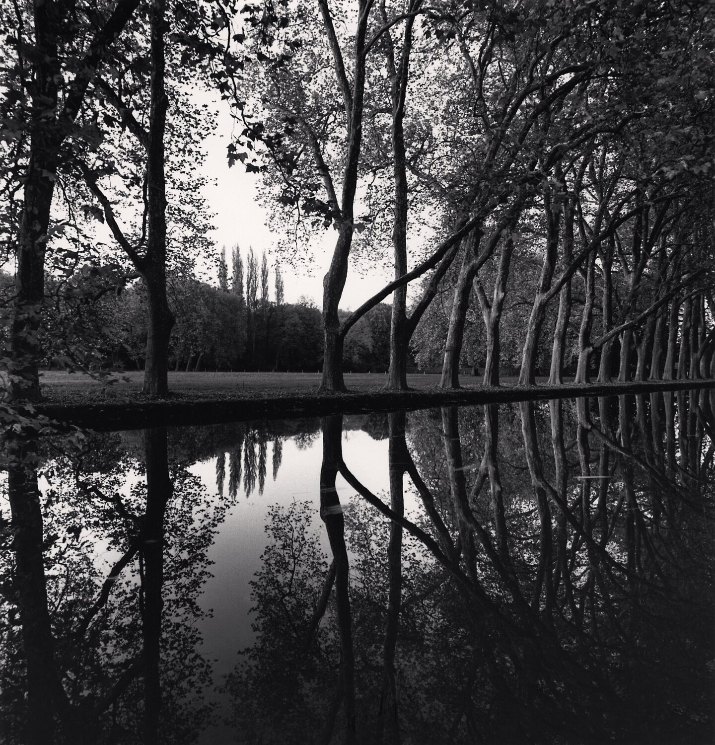 Allée d'Honneur, Courances, France. Michael Kenna Fotografie zu verkaufen