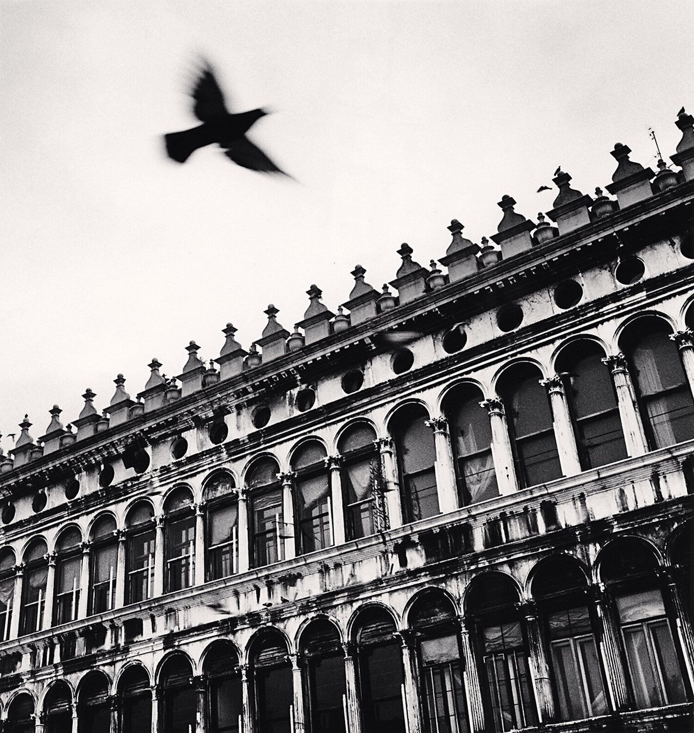 Flying Bird over San Marco, Venice, Italy Michael Kenna