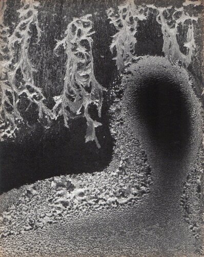 アート・デザイン・音楽 EYE MIND SPIRIT: Minor White アート・デザイン・音楽 EYE MIND SPIRIT: Minor White New