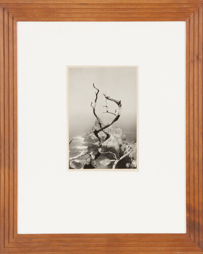 アート・デザイン・音楽 EYE MIND SPIRIT: Minor White アート・デザイン・音楽 EYE MIND SPIRIT: Minor White New