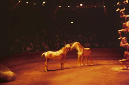 Triptyk, Zingaro Equestrian Theater, Paris, 2004 by Nan Goldin, Print for Sale on Singulart
