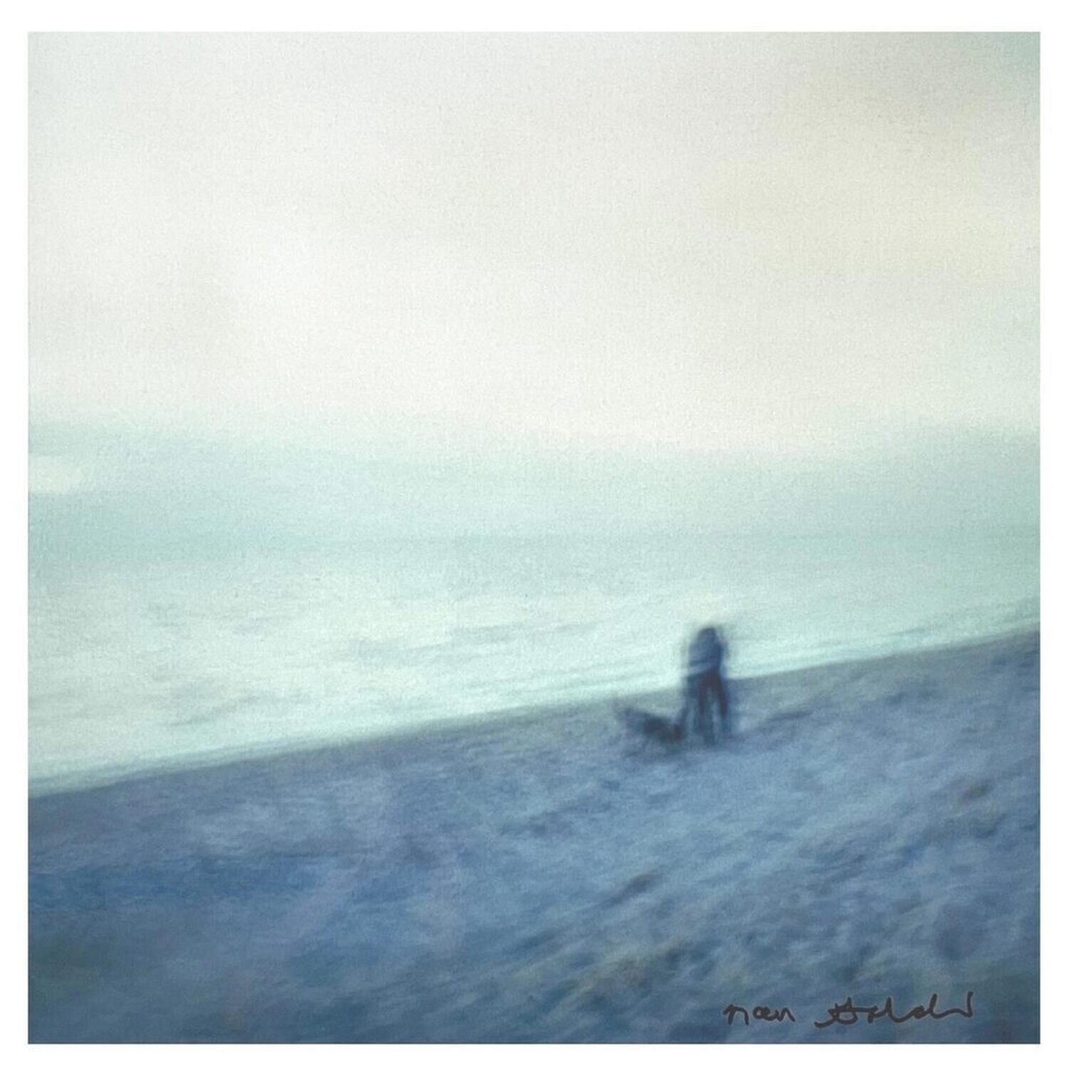Memory Lost Sirens Nan Goldin