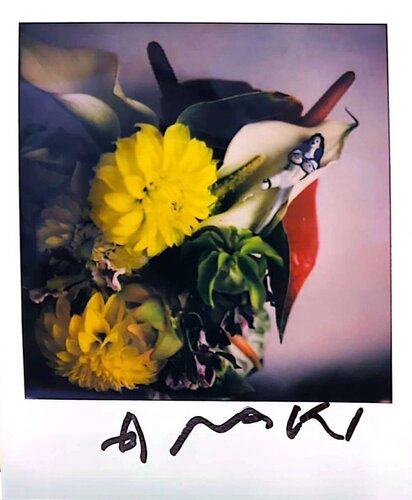 UNTITLED 23 de Nobuyoshi Araki, Fotografía a la venta en Singulart