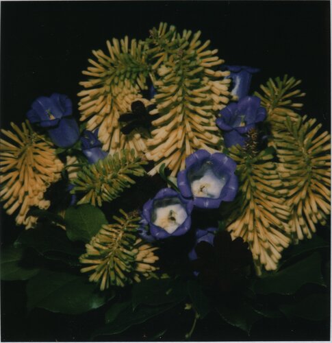Flower de Nobuyoshi Araki, Fotografía a la venta en Singulart