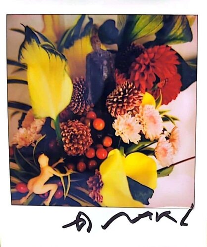 UNTITLED 26 de Nobuyoshi Araki, Fotografía a la venta en Singulart