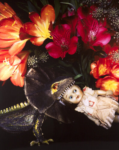 Daraku-en van Nobuyoshi Araki, Fotografie te koop op Singulart