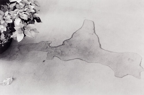 Untitled, #58 from the series »Last by Leica« van Nobuyoshi Araki, Fotografie te koop op Singulart