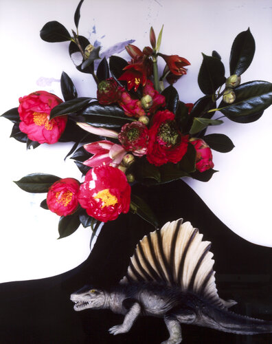 Daraku-en van Nobuyoshi Araki, Fotografie te koop op Singulart