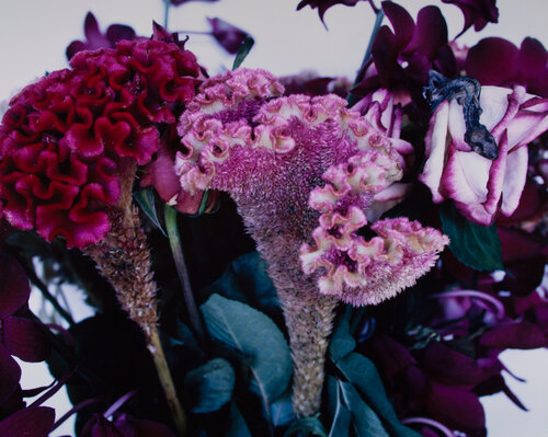 Untitled, from the series »Flowers & Jamorinsky« van Nobuyoshi Araki, Fotografie te koop op Singulart