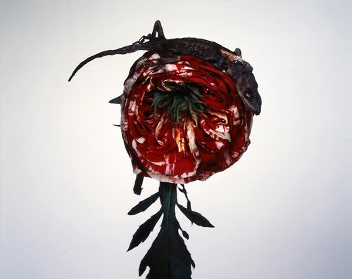 Untitled, from the series »Flowers & Jamorinsky« van Nobuyoshi Araki, Fotografie te koop op Singulart