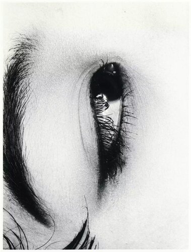 Untitled, The Look from Erotos di Nobuyoshi Araki, Fotografia in vendita su Singulart